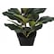 Monarch Specialties Artificial Plant, 32" Tall, Fiddle Tree, Indoor, Faux, Fake, Floor, Greenery, Potted, Real Touch I 9511 - alternate 2